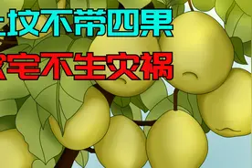 “上坟不带四果，“家宅不生灾祸”，说的是哪四果？其中有何讲究视频封面