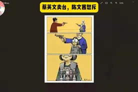 蔡英文卖台，陈文茜怒斥视频封面
