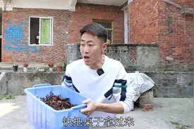 春天的第一顿小龙虾，吃过瘾了视频封面