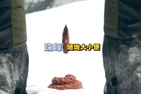 在珠穆朗玛峰上随地大小便，居然能造成便便滑坡？