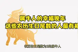 属牛人的幸福晚年：这些农历生日尾数的人最有福视频封面