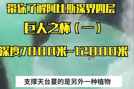 第九期·带你了解阿比斯深界四层巨人之杯（一），《来自深渊》视频封面