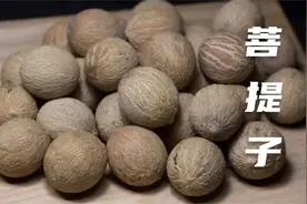 菩提子的好处