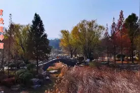 日照植物园视频封面