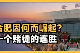合肥是如何崛起的？京东方给合肥带来了什么？一个赌徒的三连胜！视频封面