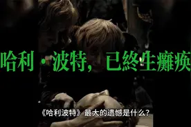 哈利·波特，已终生瘫痪视频封面