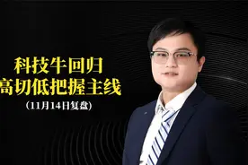 11月14科技牛回归，高切低把握主线视频封面