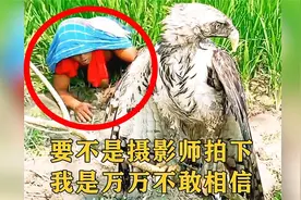 要不是摄影师拍下这一幕，我是万万不敢相信，还有这样的神操作！视频封面
