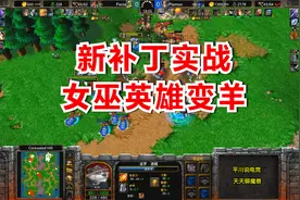 War3最新补丁实战，女巫把英雄变羊，大战兽族2本牛头！魔兽争霸3视频封面