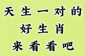 天生一对的好生肖，快来看看是怎么配。视频封面