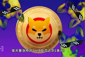 柴犬暴涨预测，SHIB能否达到1美元？视频封面