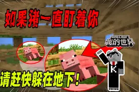 我的世界：如果你发现猪猪一直盯着你，请赶快躲进地下！视频封面