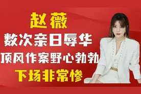 野心勃勃的赵薇，顶风作案，亲日辱华，如今下场大快人心视频封面