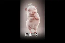 德福科技最新分析，固态电池测试数据优异，相关个股飙升视频封面