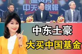 中东土豪！大买中国基金！视频封面