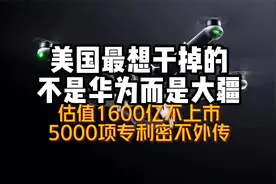 大疆是美国最痛恨的中国公司，估值1600亿不上市！维库芯视频APP