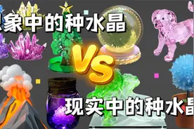 我妈想象中的种水晶VS现实中的种水晶，差别有多大？视频封面