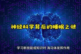 神经科学背后的睡眠之谜视频封面