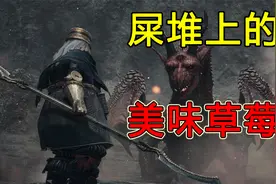 一颗...屎堆上的美味草莓！让人痛并快乐着的龙之信条2视频封面