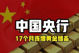 中国央行：17个月连增黄金储备，美元要凉凉了吗？视频封面