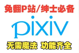 【pixiv】手机上p站安装包登入p站最强插画软件镜像版pixez!