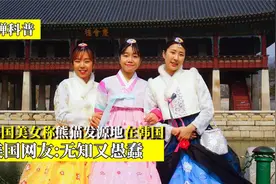 韩国美女称熊猫是韩国的传统动物，引美国网友发笑：无知又愚蠢视频封面