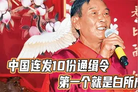 中国连发10份通缉令，第一个就是白所成！缅北反诈迎来大结局视频封面