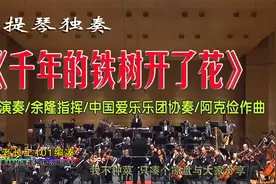 小提琴独奏《千年的铁树开了花》刘睿演奏/中国爱乐乐团协奏视频封面