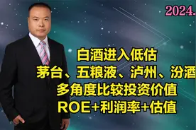白酒进入低估，茅台、五粮液、泸州、汾酒多角度比较投资价值视频封面
