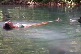 宠物鸭一起在河边玩耍视频封面