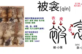 被是单人被，衾qīn是双人被