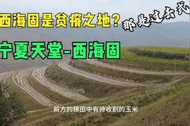 宁夏西海固从西吉沙沟到海原，大变样满目梯田和绿色，太喜欢这里视频封面