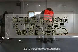 海天雄鹰：秦大地胸前的“马赛克”，究竟是啥教你怎么看资历章