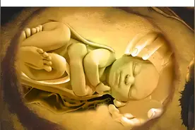 人类生孩子为啥那么艰难？原因竟然可以追溯到几百万年前！视频封面