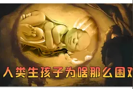 人类生孩子为啥那么艰难？原因竟然可以追溯到几百万年前！视频封面