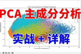 PCA 主成分分析讲了什么？具体怎么使用？十分钟包教包会！视频封面