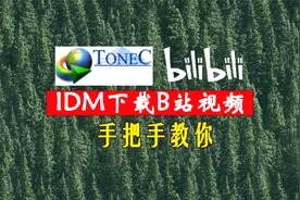 手把手教你怎么下载B站视频，IDM下载B站视频