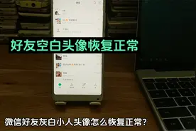 微信好友灰白小人头像怎么恢复正常 好友头像从空白又显示出来了