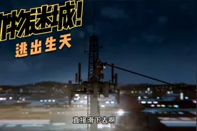 海阔凭鱼跃，天高任鸟飞，正义将会得到伸张【动物迷城】视频封面