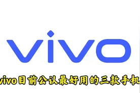 vivo目前公认最好用的三款手机视频封面