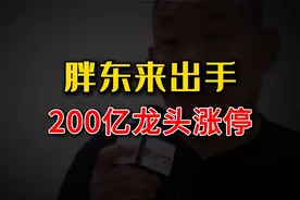 200亿龙头起死回生！胖东来出手， 永辉涨停！视频封面