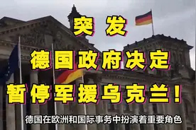 突发：德国政府决定暂停军援乌克兰！视频封面
