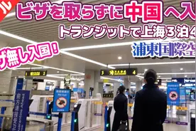 （中字）日本博主免签过境上海难掩激动：很久没来上海更漂亮了！视频封面