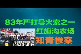 83严打导火索之一，红旗沟农场，知青惨案视频封面