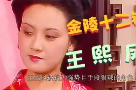 王熙凤是怎么样的人？曹雪芹诗词《金陵十二钗正册·王熙凤》解析视频封面