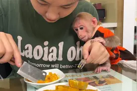 小猴比比很开心地和妈妈一起去市场吃东西！视频封面