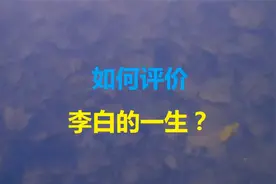 李白一生阅历丰富，文学造诣极高，该如何评价他的一生视频封面