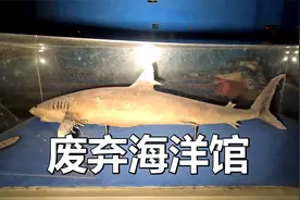探索废弃海洋馆，里边还剩下鲨鱼标本视频封面
