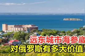 曾是中国领土，远东城市海参崴，对俄罗斯究竟有多大价值？视频封面