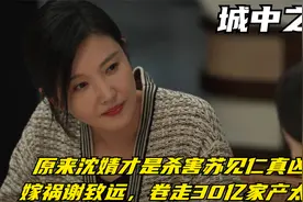 原来沈婧才是杀害苏见仁真凶，嫁祸谢致远，卷走30亿家产太狠视频封面